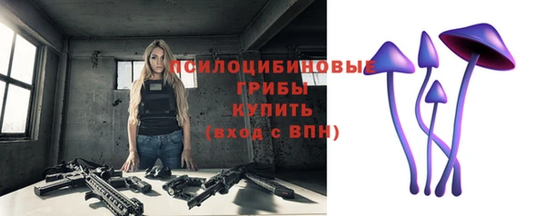 гидра Балабаново