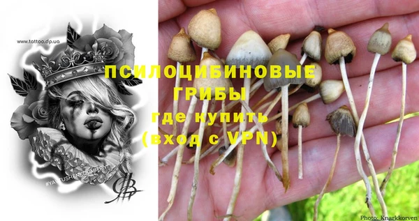 ПСИЛОЦИБИНОВЫЕ ГРИБЫ Баксан