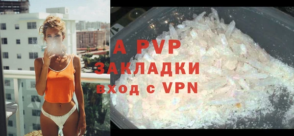 ПСИЛОЦИБИНОВЫЕ ГРИБЫ Баксан