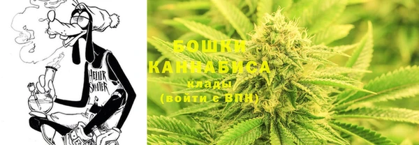 ПСИЛОЦИБИНОВЫЕ ГРИБЫ Баксан