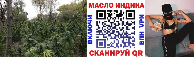 ТГК концентрат Гай
