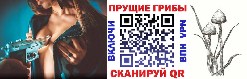 Псилоцибиновые грибы GOLDEN TEACHER  наркотики  Гай 