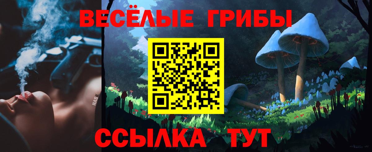 Гай  Галлюциногенные грибы GOLDEN TEACHER  Вход с VPN 