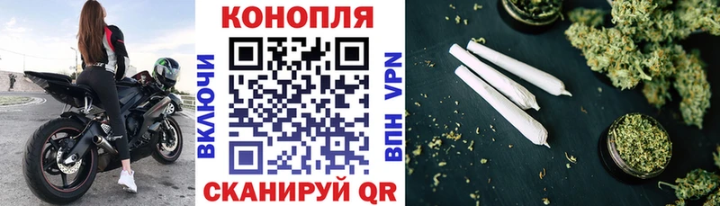 Конопля тримм Гай